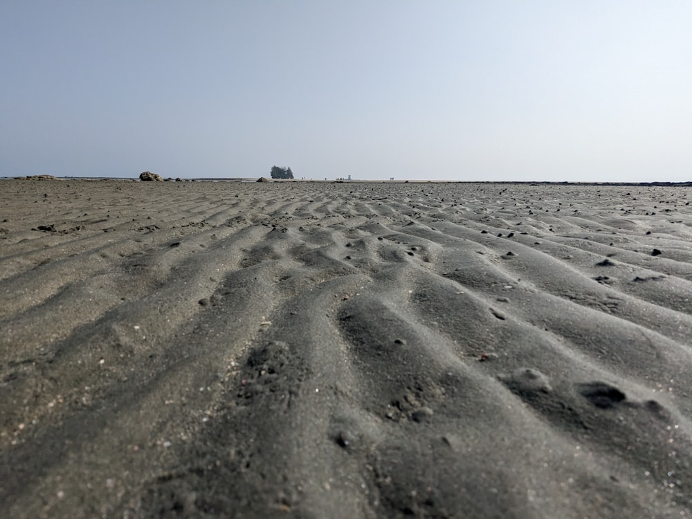 a sandy beach with a lone tree in the distance