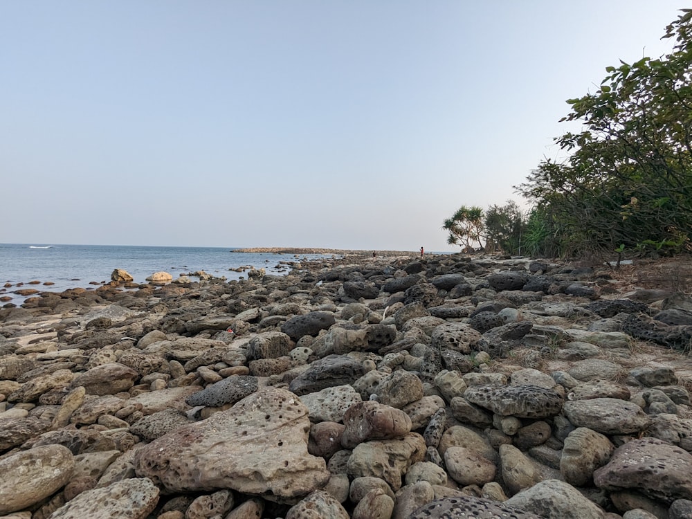 a rocky beach with a body of water in the background