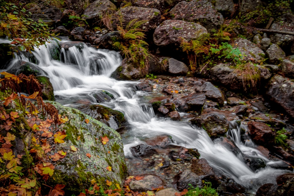 a small waterfall in the middle of a forest