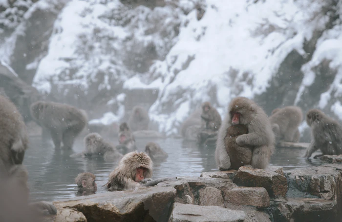 Winter Onsen Towns Worth the Snow