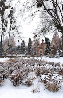A snow-covered garden with various shrubs and bare trees partially obscuring a background of buildings with a brick facade. The branches are lightly dusted with snow, creating a wintry scene.