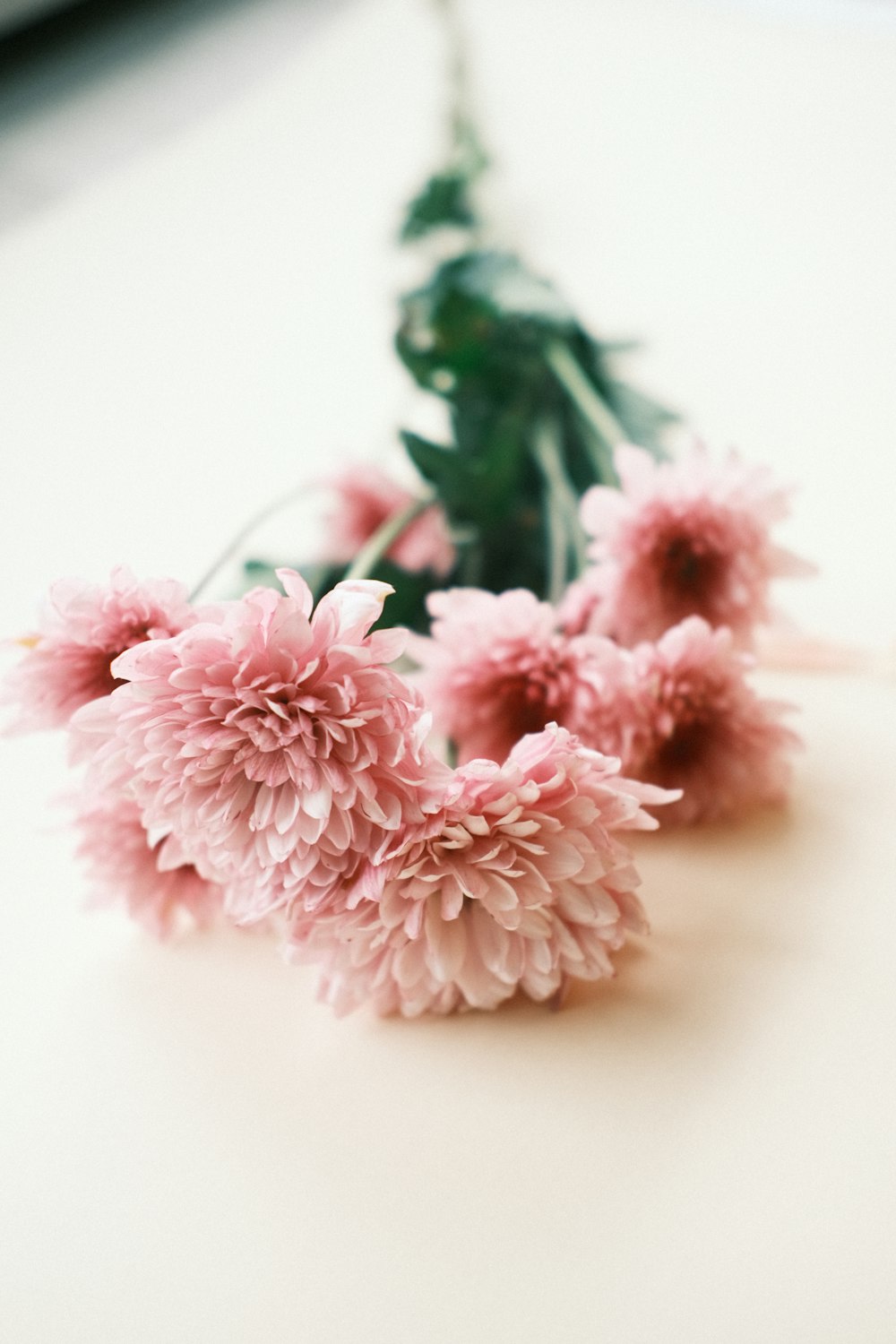 a bunch of pink flowers sitting on top of a table