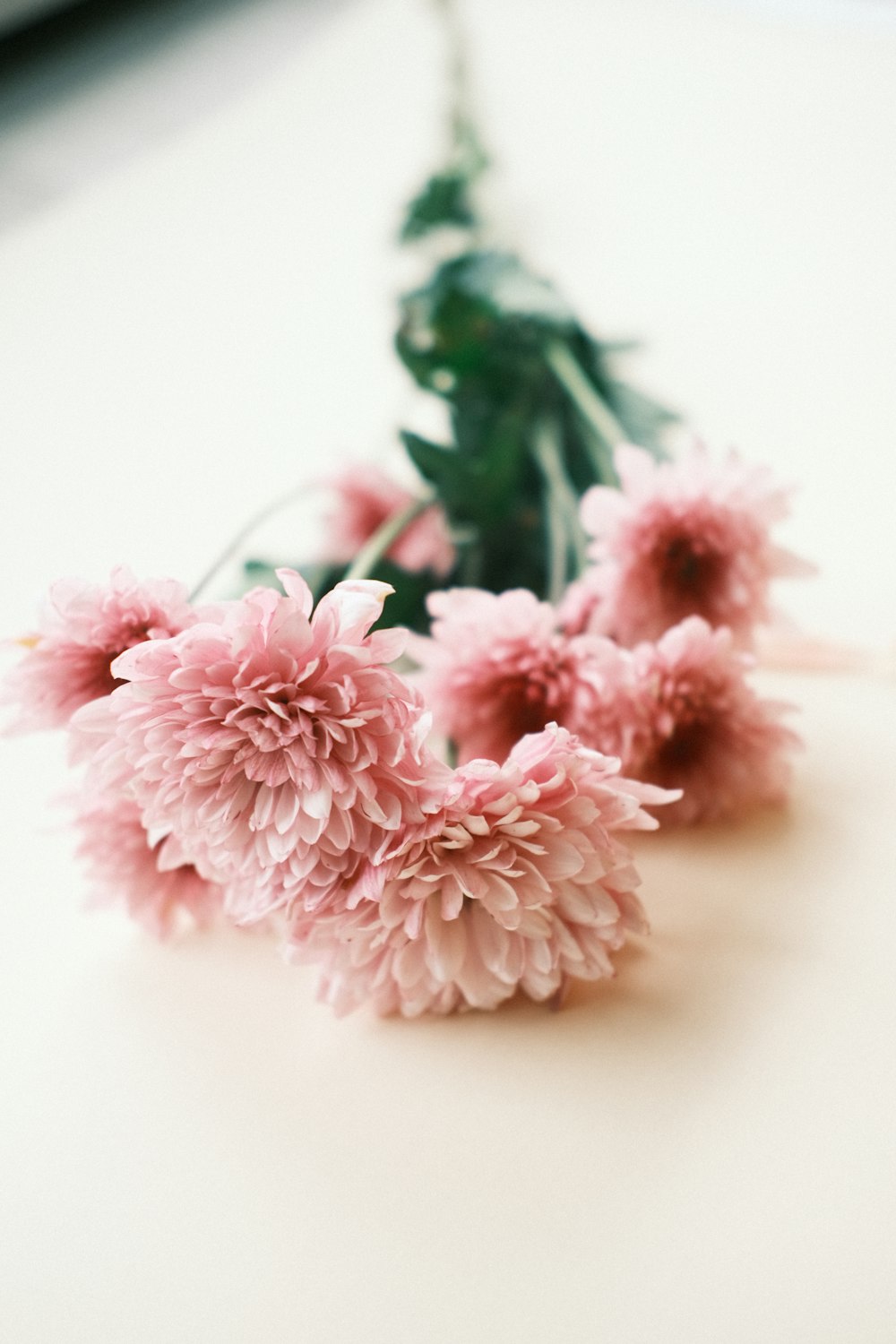 Ein Strauß rosa Blumen sitzt auf einem Tisch