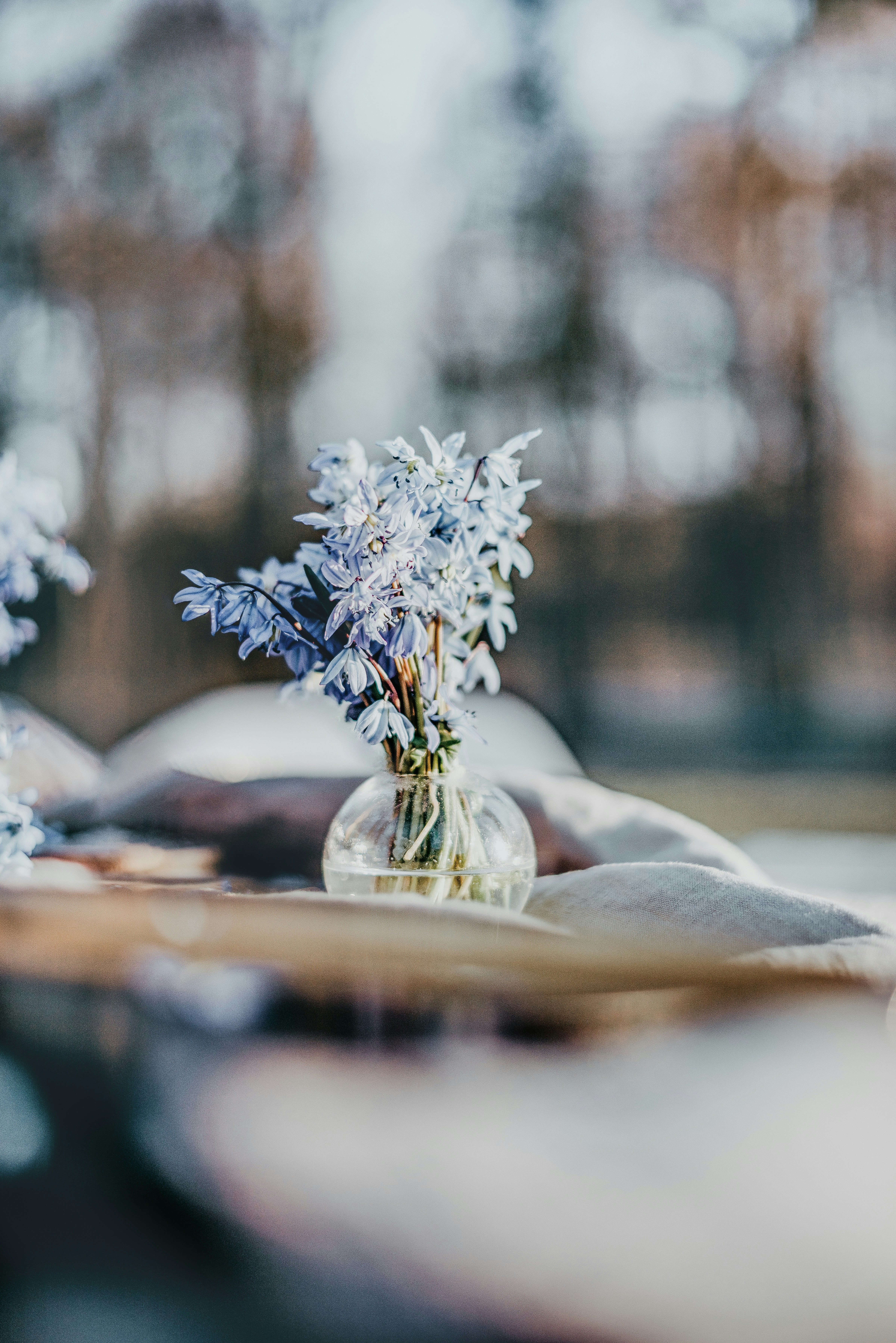 frosted forest snow, winter wedding decor, ilustrasi artikel Enchanting Winter Wedding Decor: Create Your Own Winter Wonderland 1