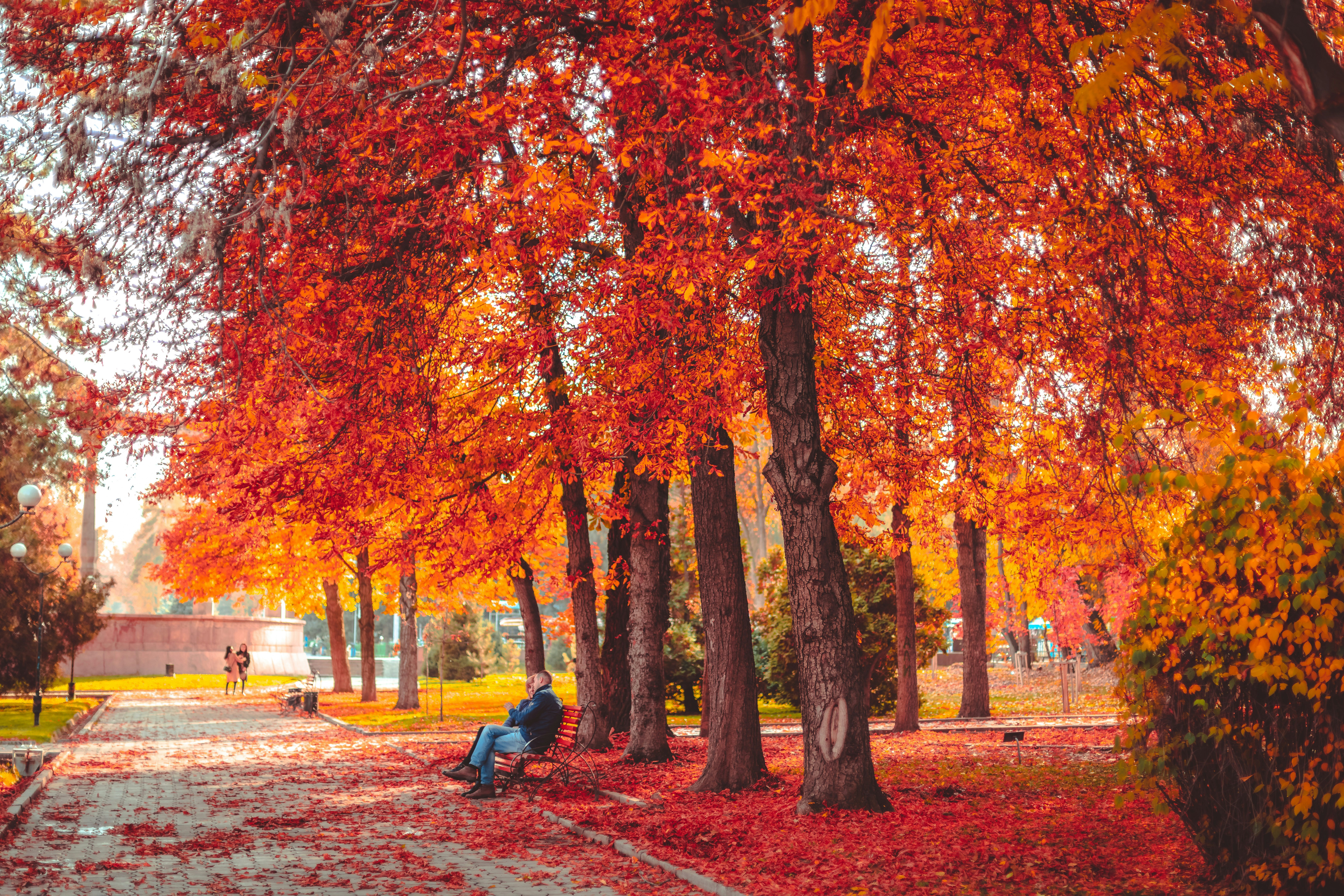 Photo by collab_media