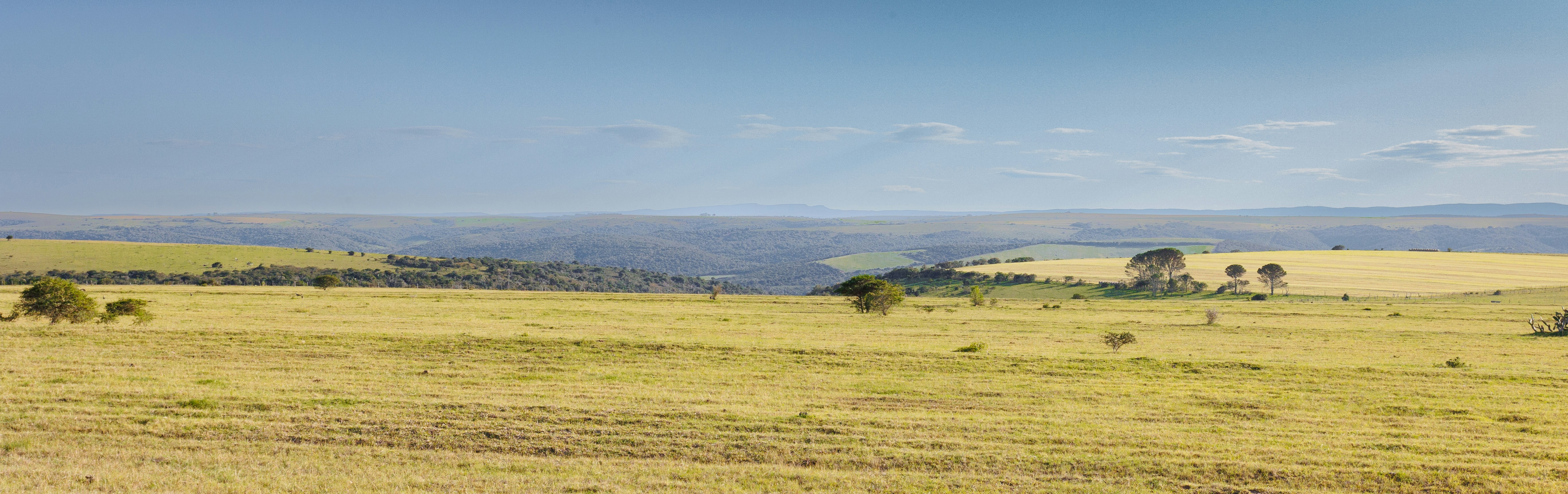 Photo by charl_durand