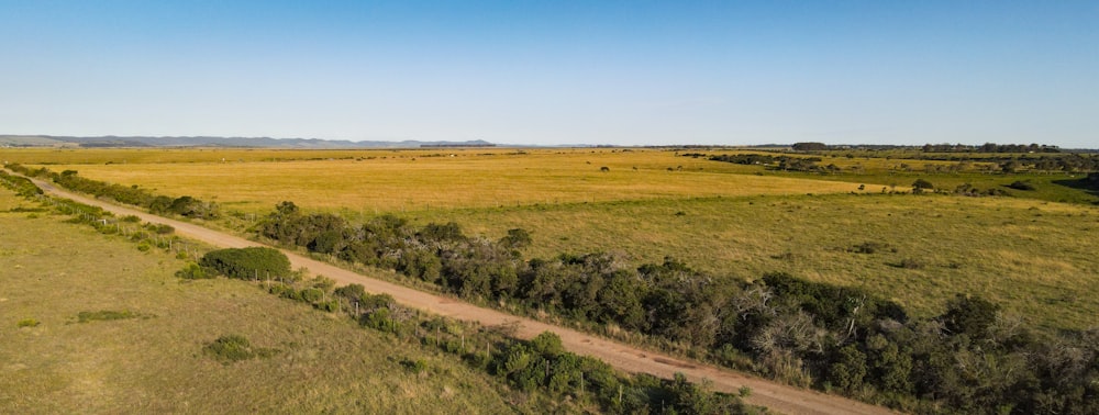 an aerial view of a dirt road in the middle of a field