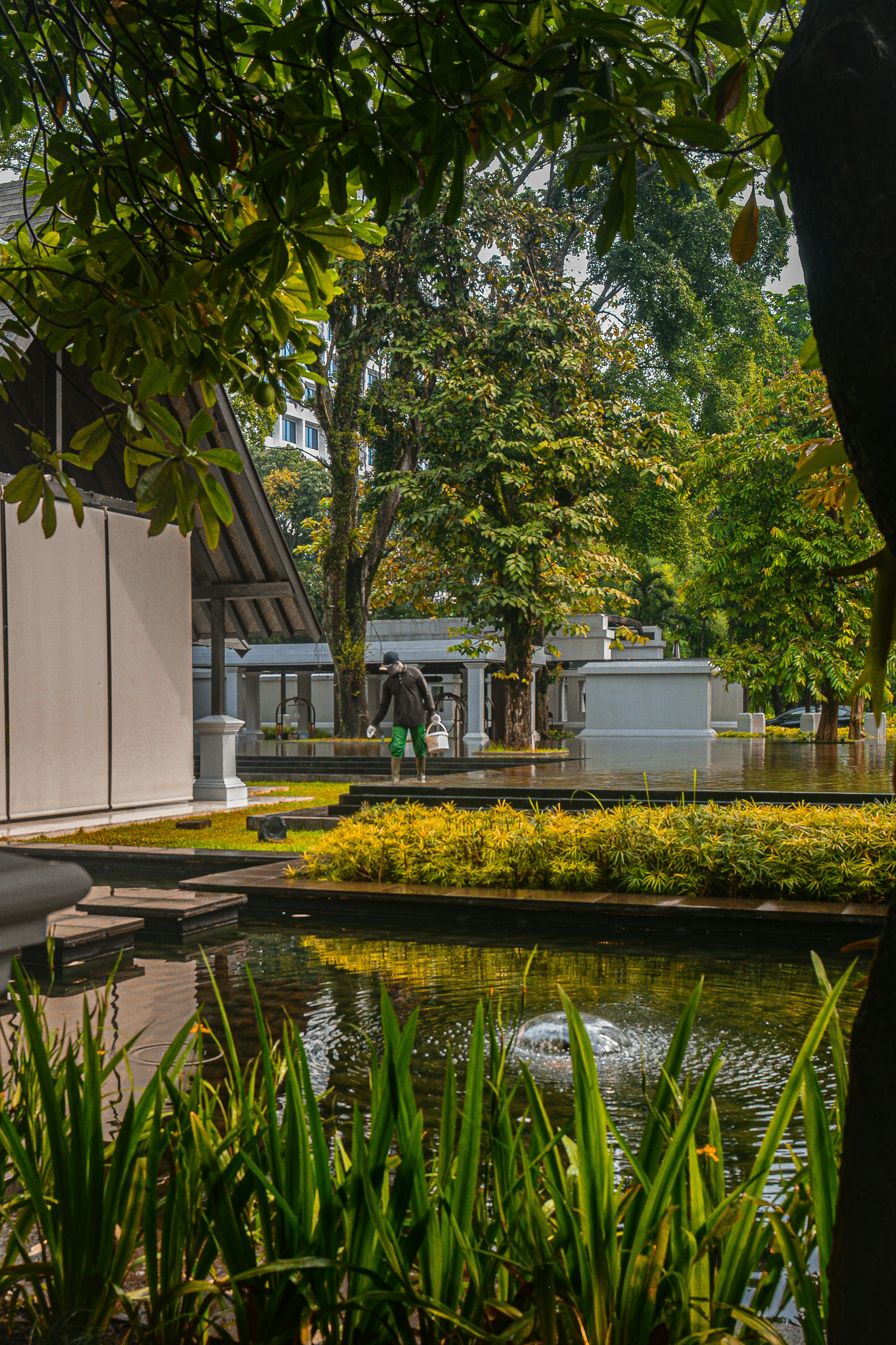 uma lagoa em um parque com um edifício no fundo