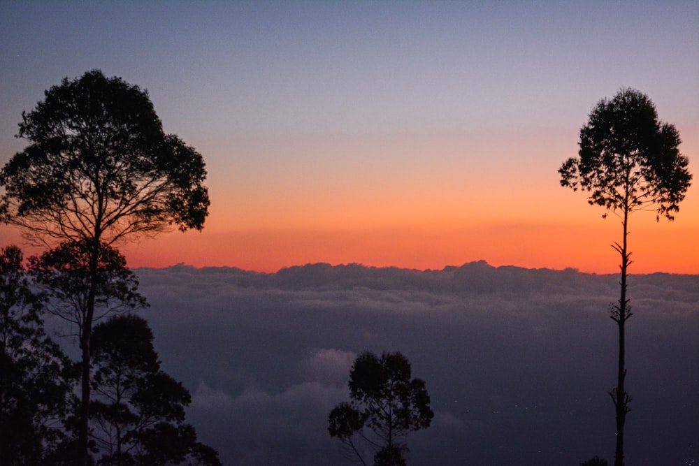 the sun is setting over the clouds and trees