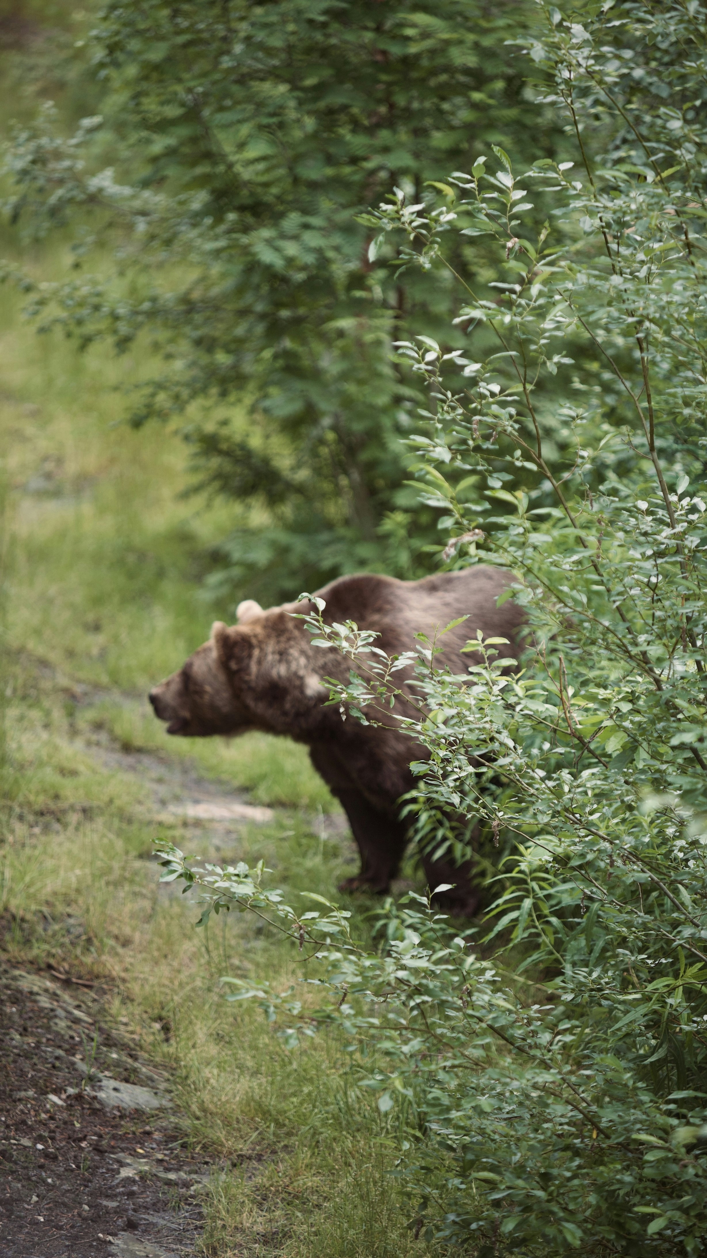 Photo by kristinokarlsen