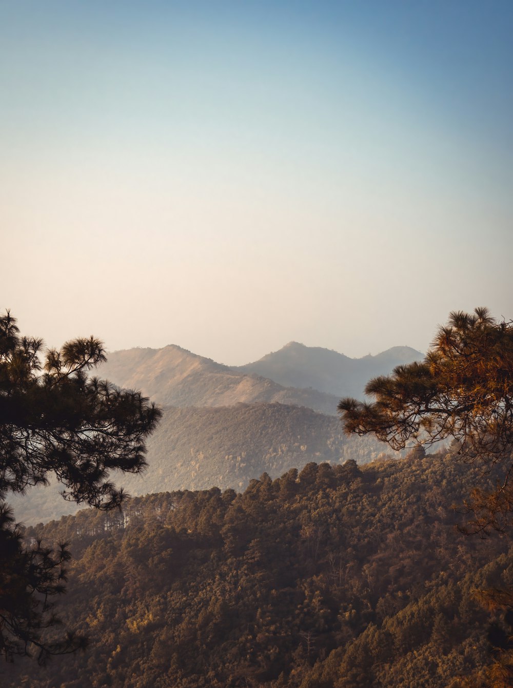 a view of a mountain range with trees in the foreground