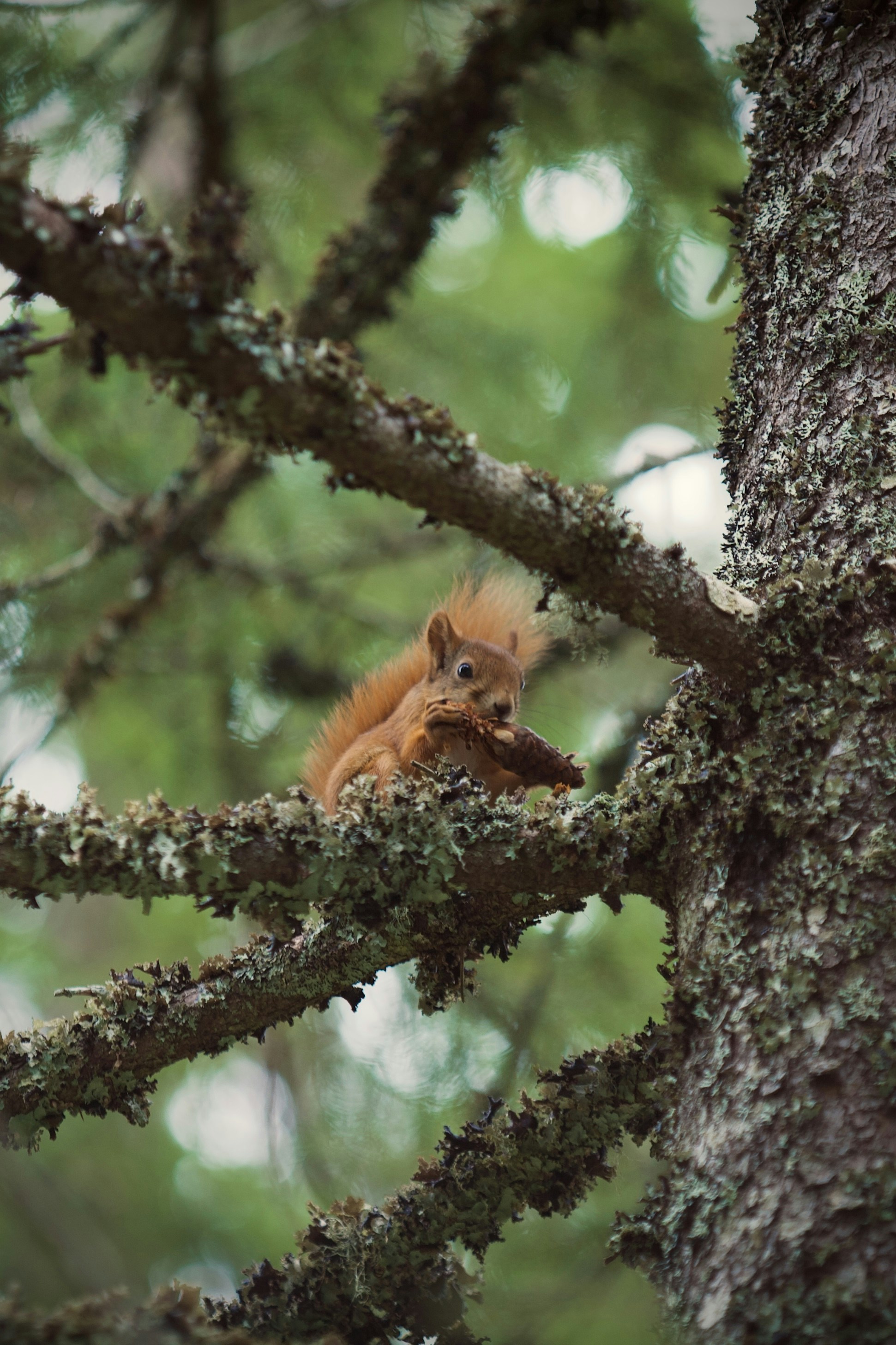 Photo by kristinokarlsen