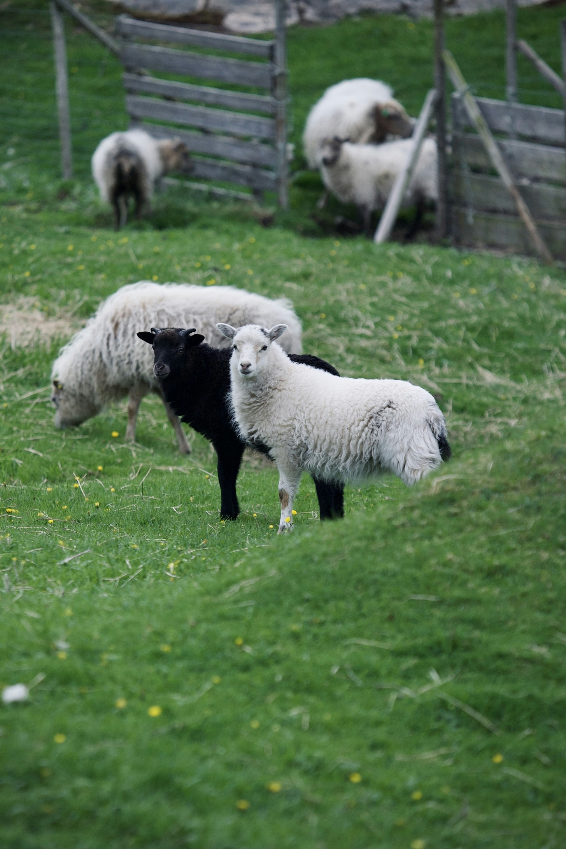 Photo by kristinokarlsen