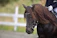 A focused rider guiding a sleek Arabian horse through a graceful English pleasure pattern.