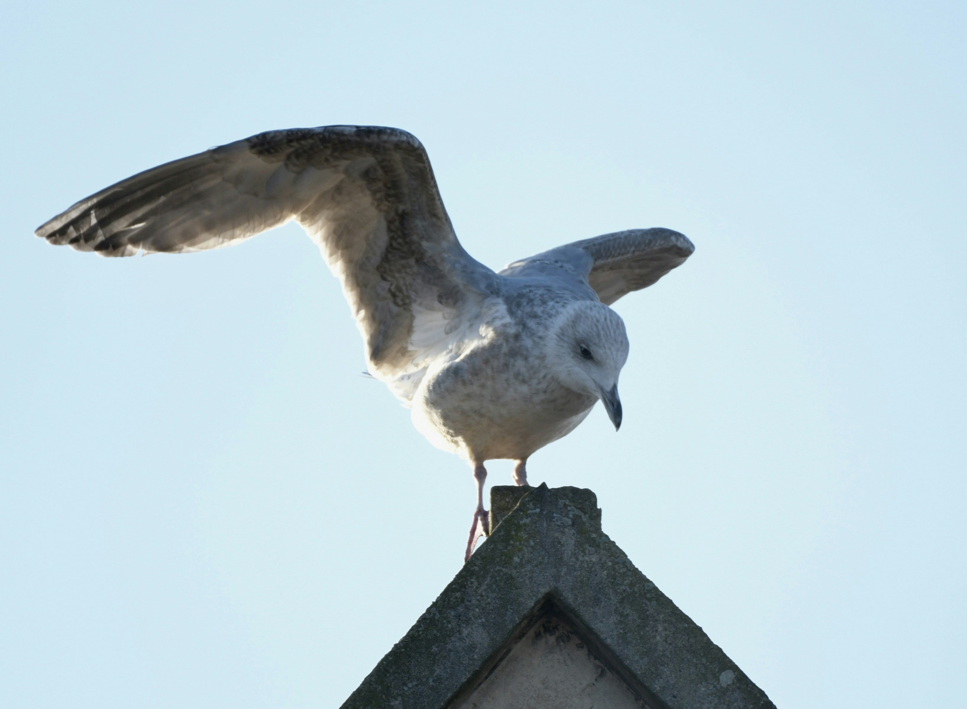 Photo by wrishi2004m