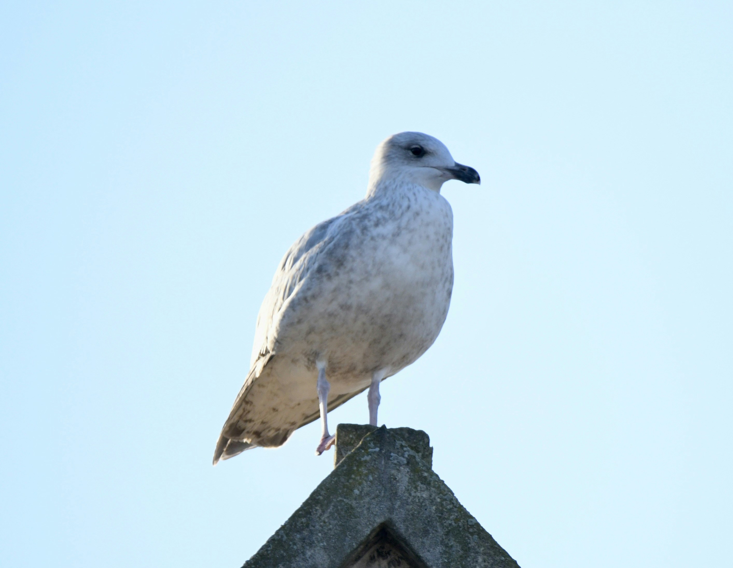 Photo by wrishi2004m