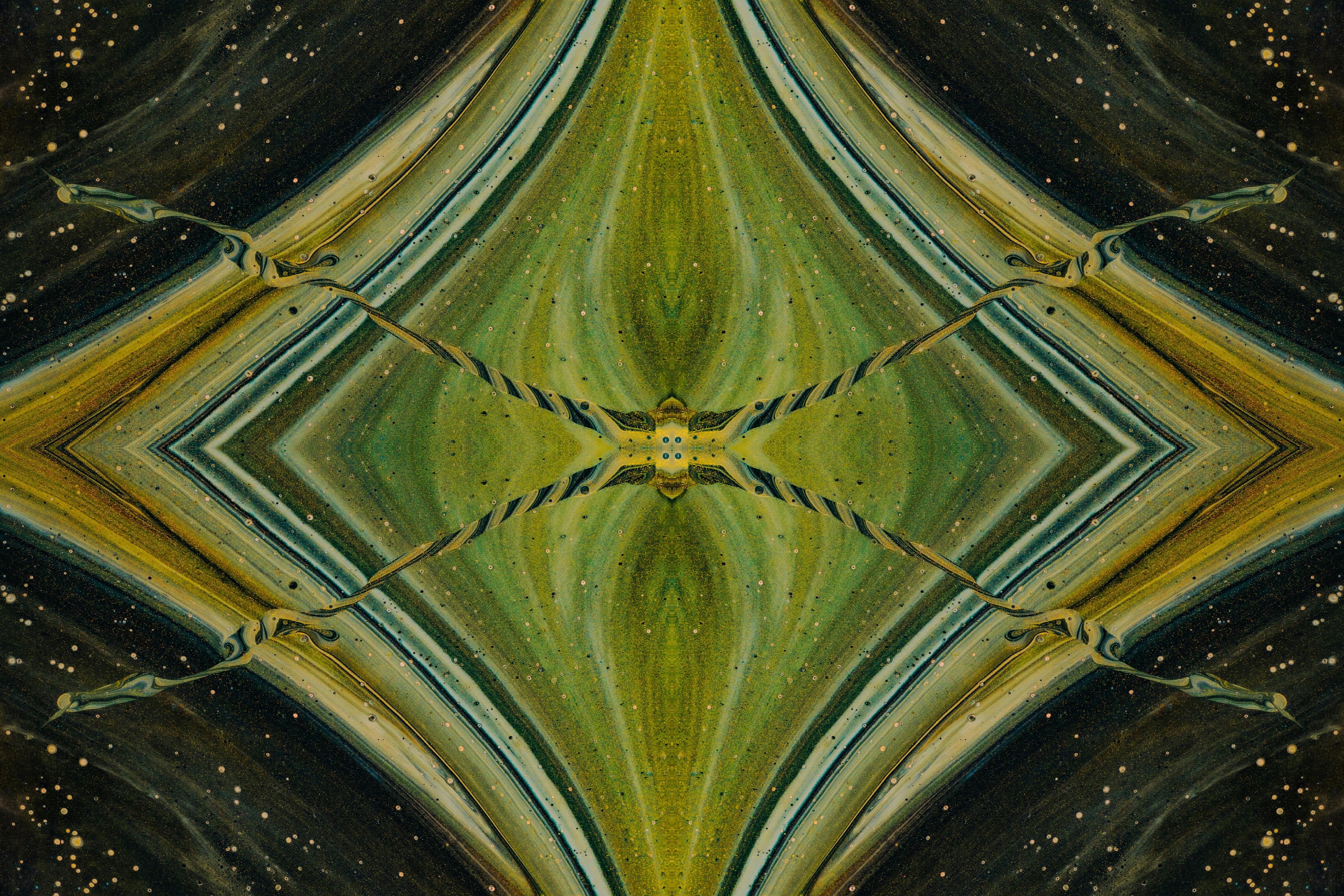 Photo by susan_wilkinson