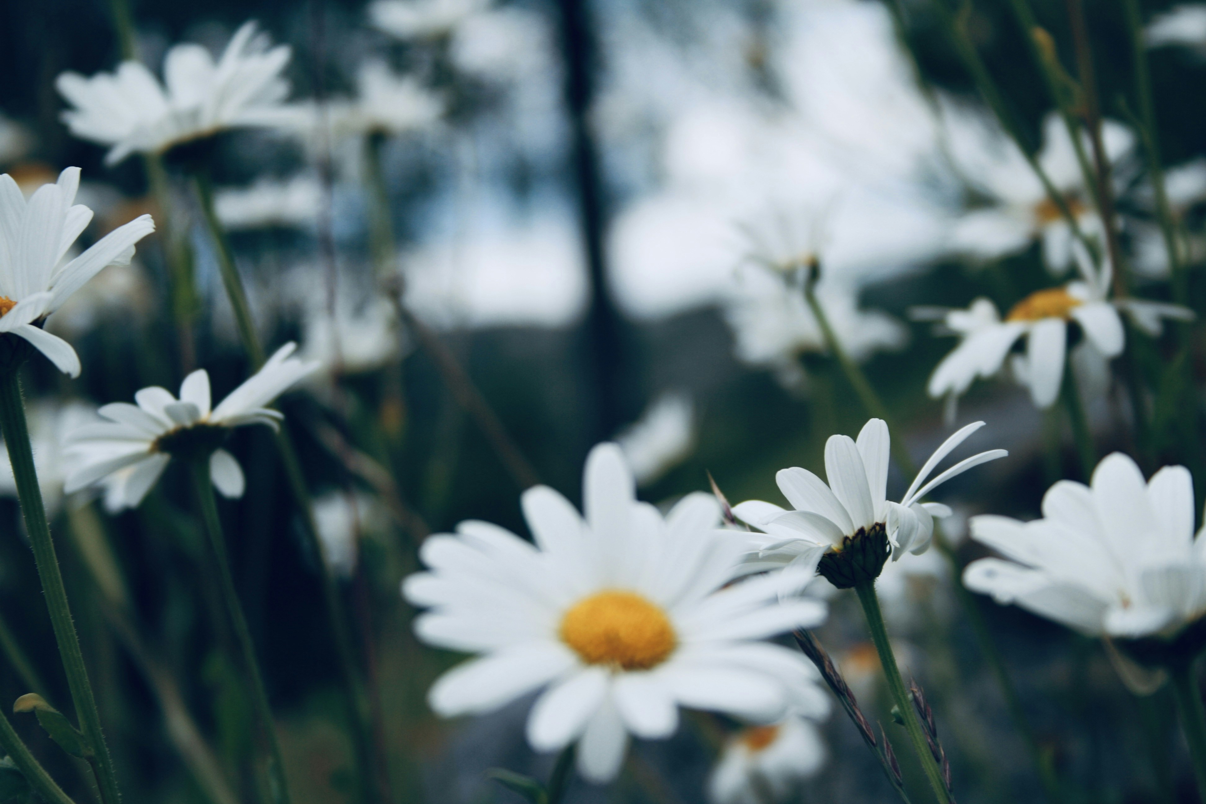 Photo by kristinokarlsen