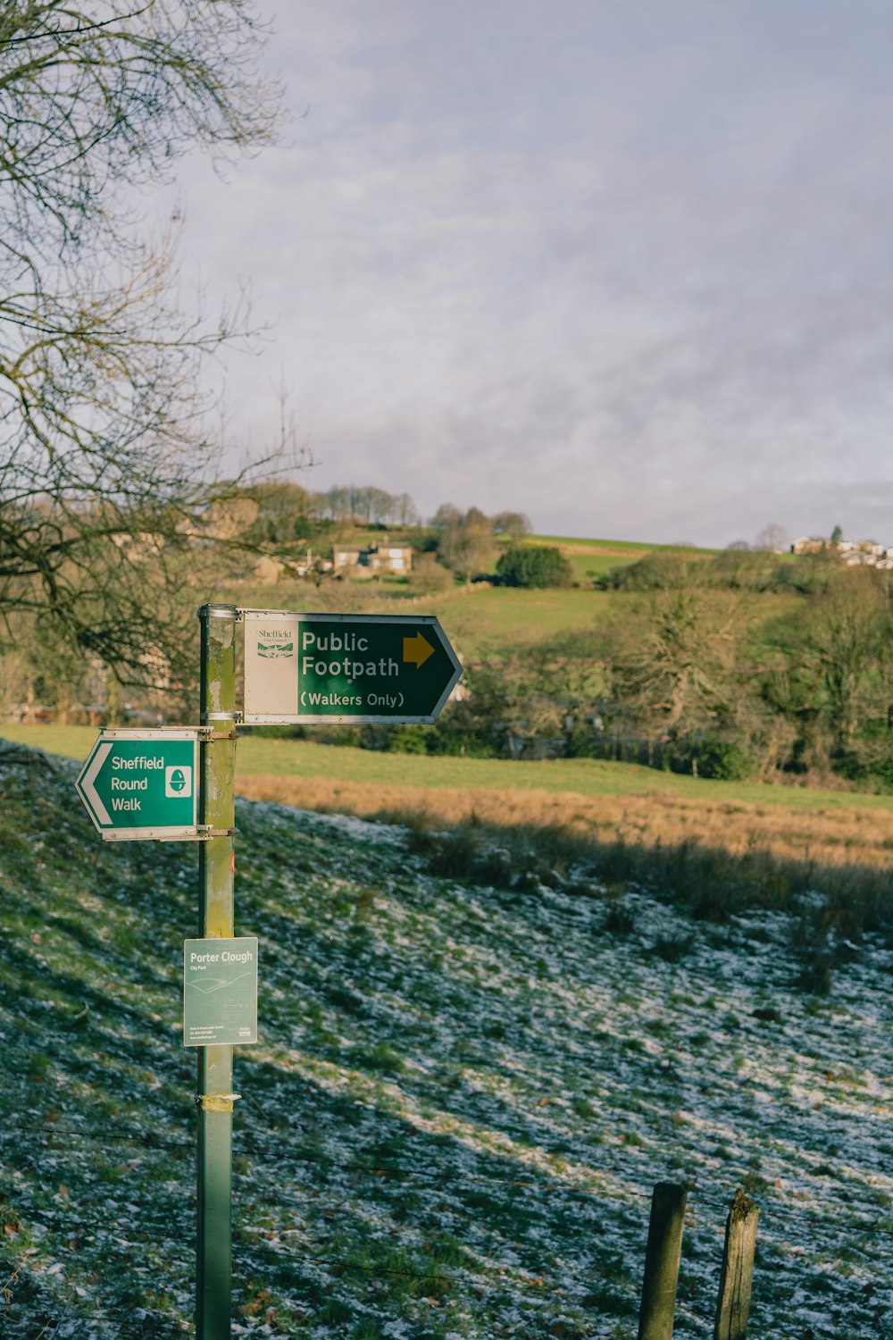 a street sign on a pole next to a field