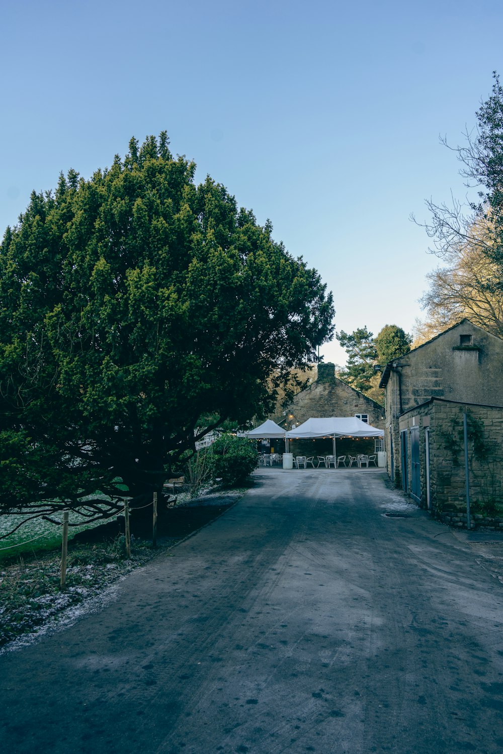 a dirt road with trees and a building in the background