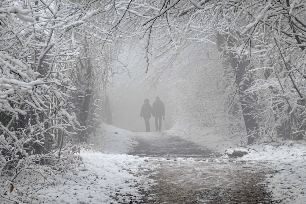 two people walking down a snow covered path