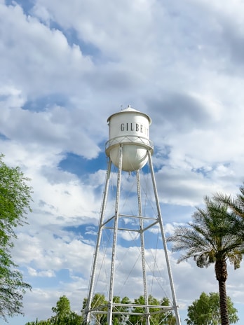 a tall white water tower sitting next to a palm tree