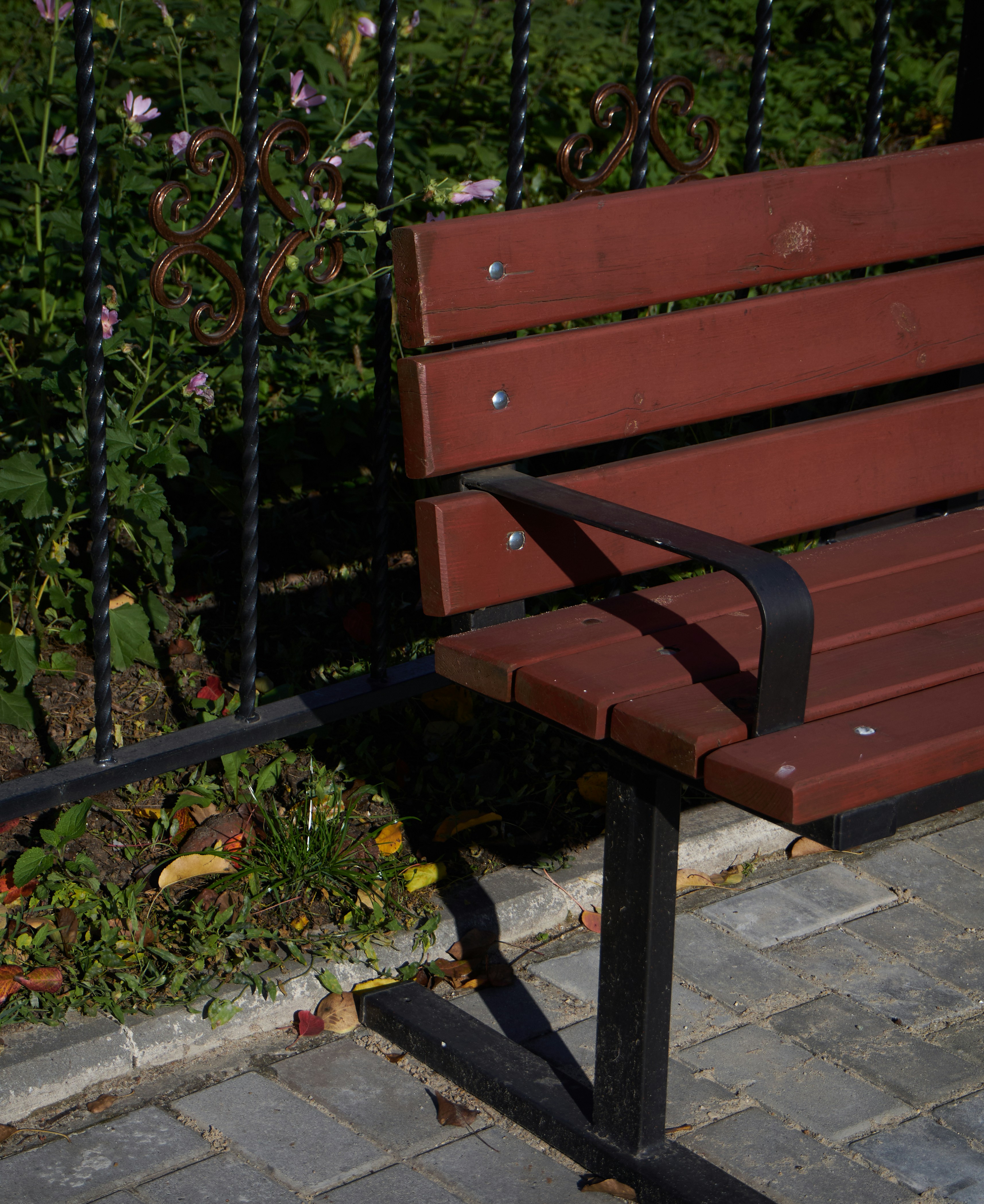 Photo by hana_katarina