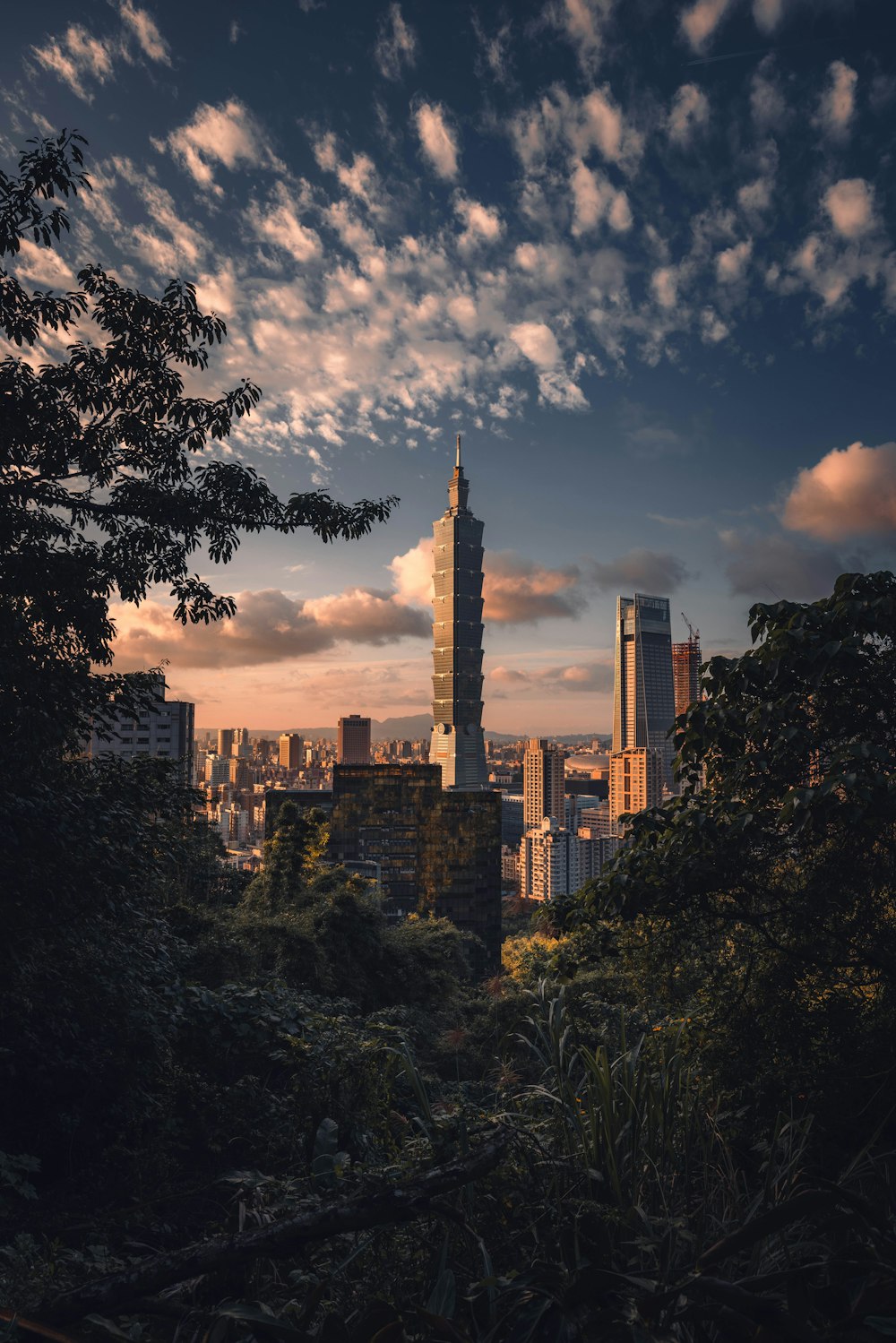 a view of a city with tall buildings