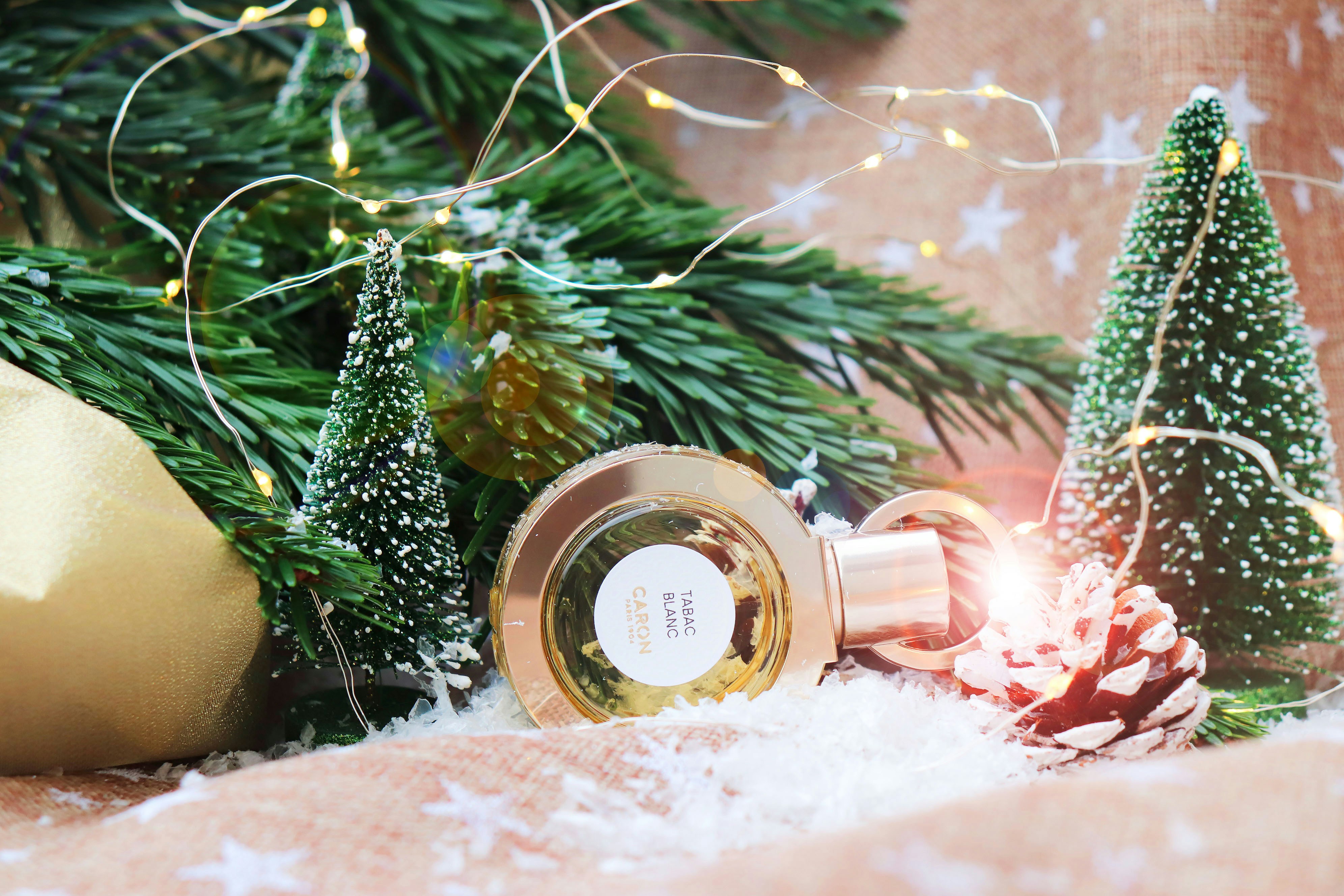 Photo by judithgirardmarczak