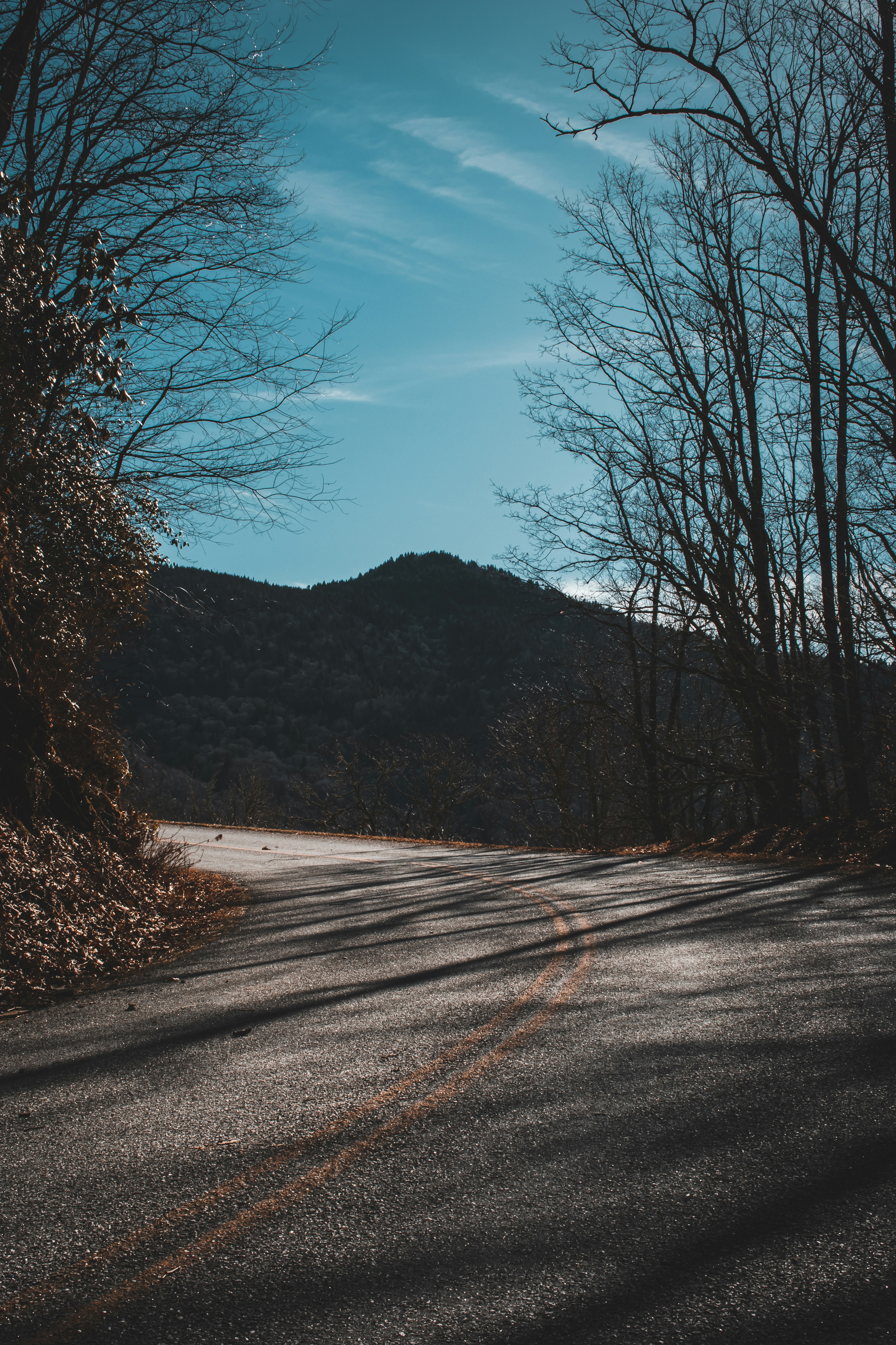 Photo by brice_cooper18