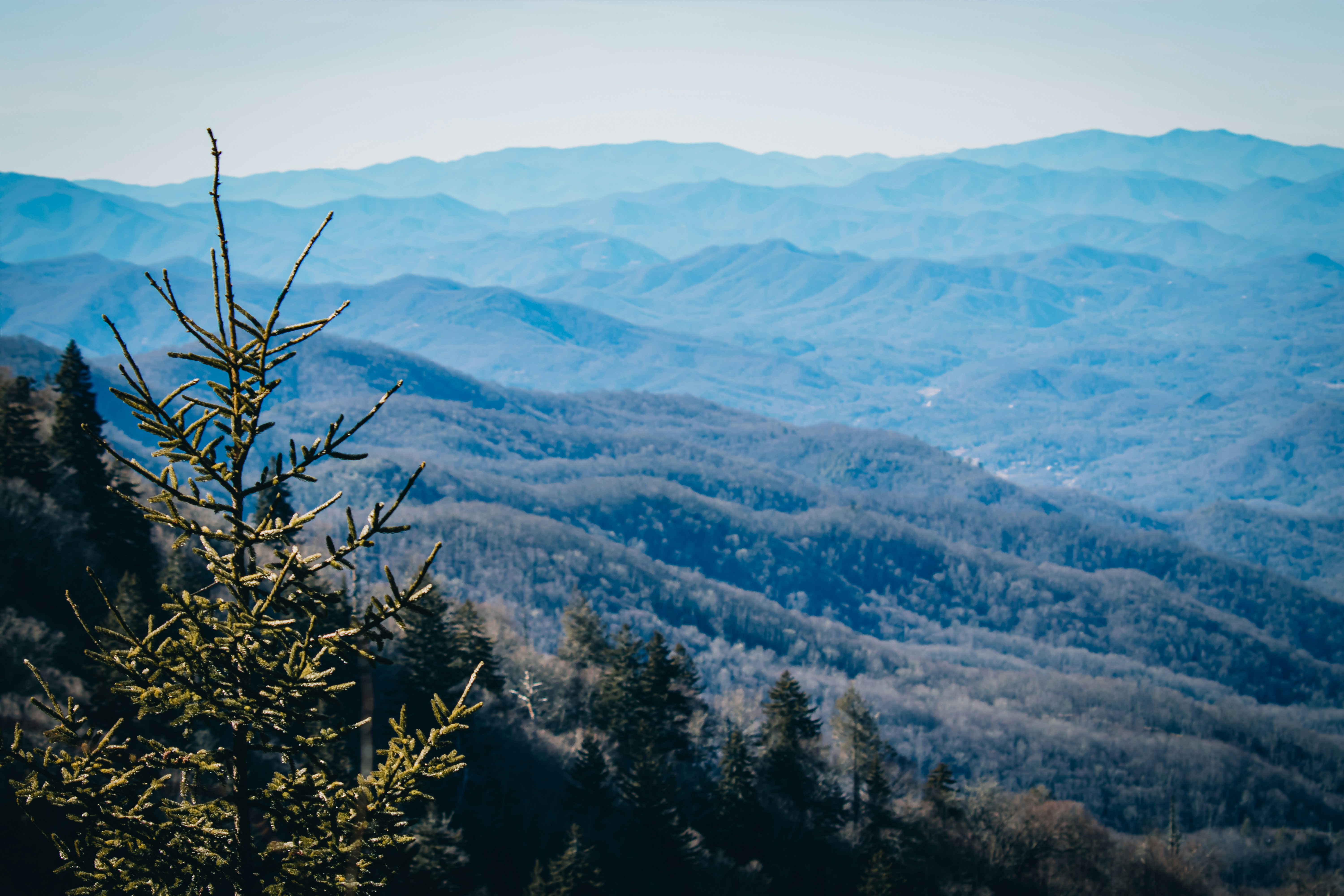 Photo by brice_cooper18