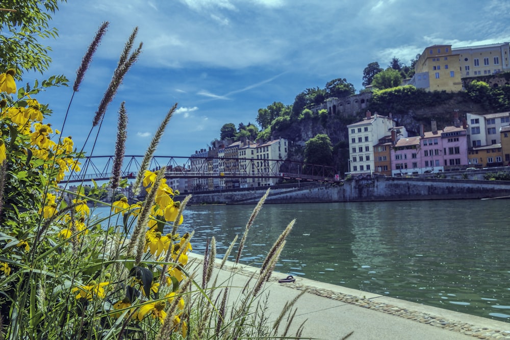 a body of water with buildings on a hill in the background