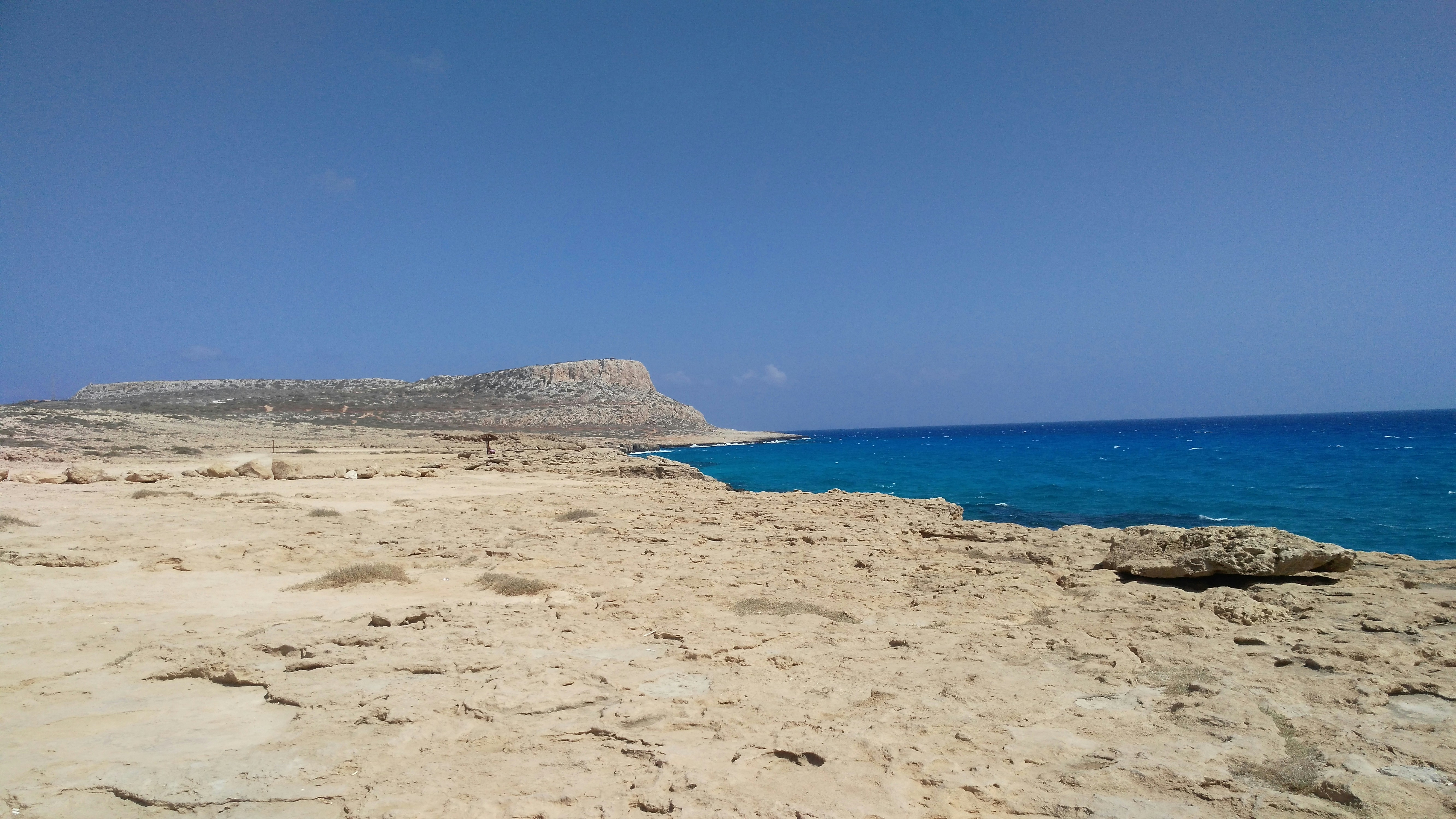 Photo by olesia_libra