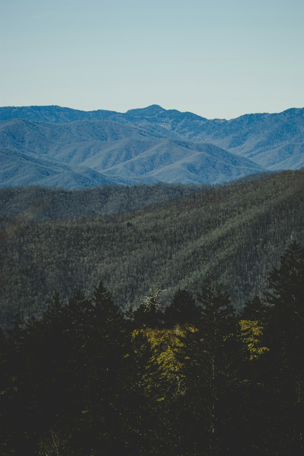 a view of a mountain range with trees in the foreground