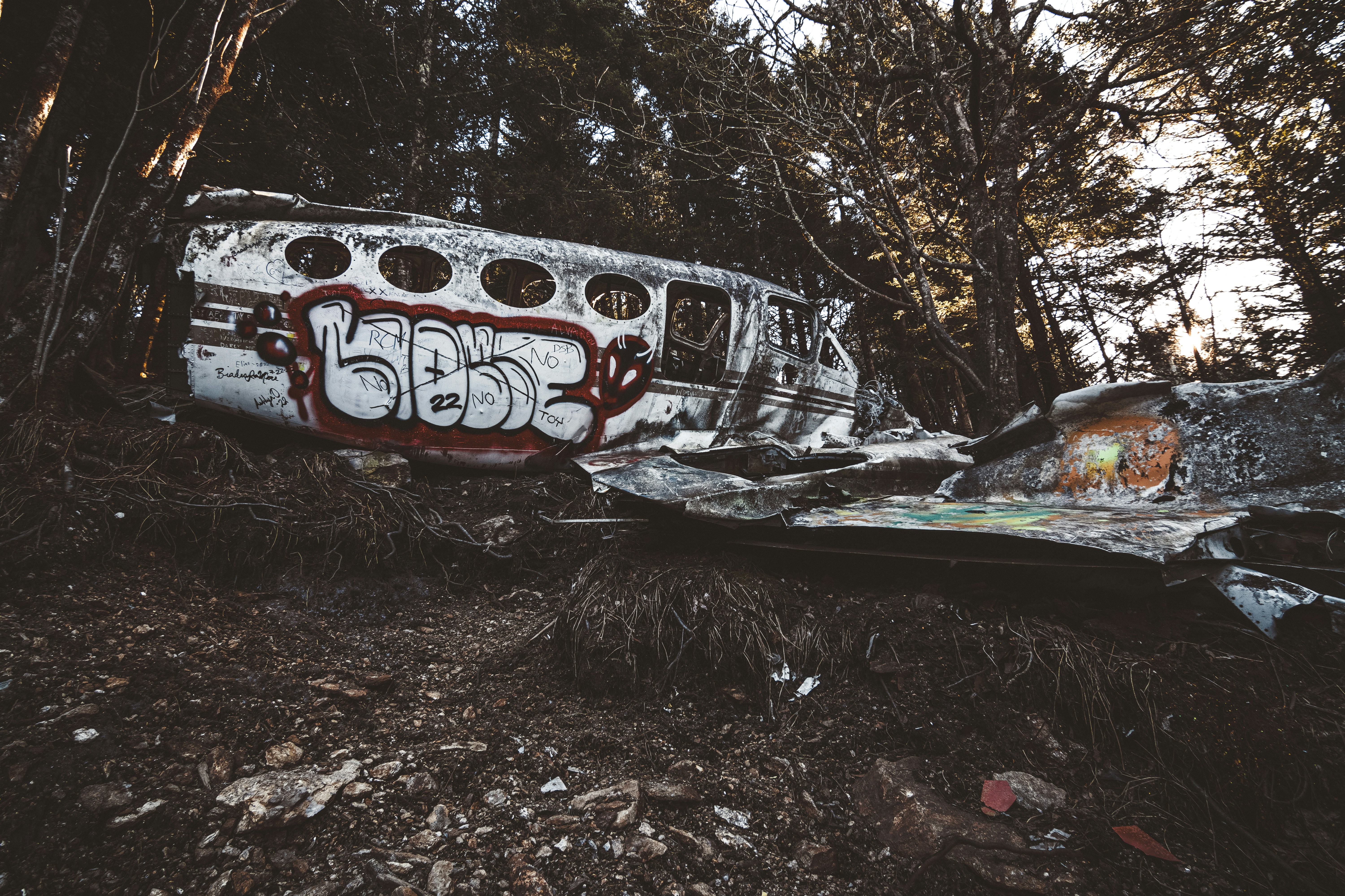 Photo by brice_cooper18