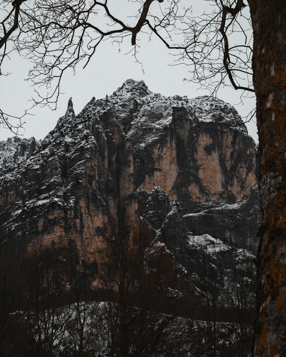 a snow covered mountain with trees in the foreground