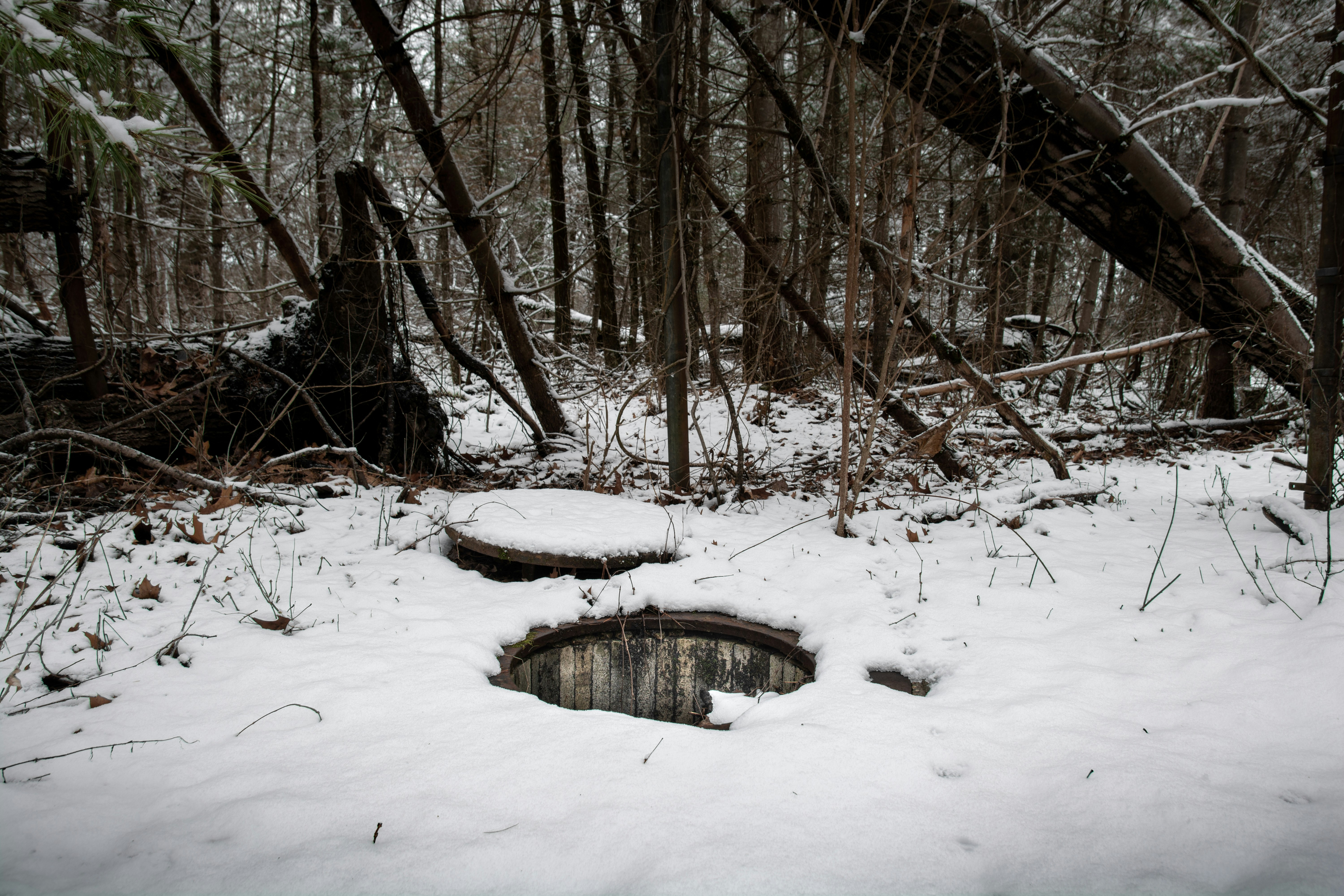 Photo by seewonderfulthings