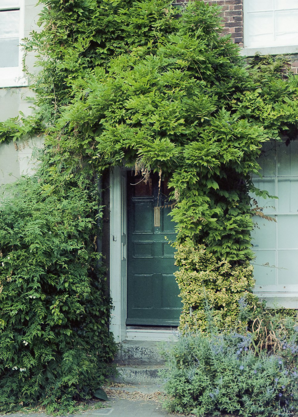 a house with a green door surrounded by greenery