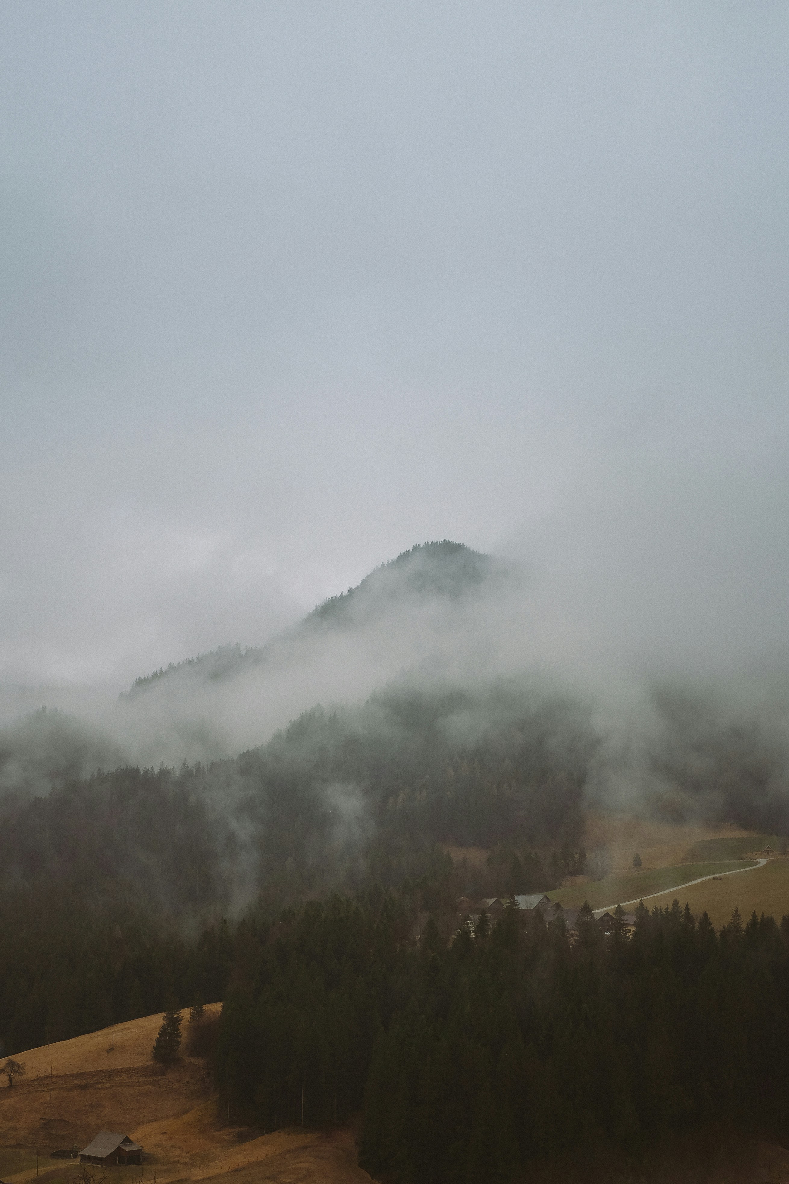 Photo by binezarabec