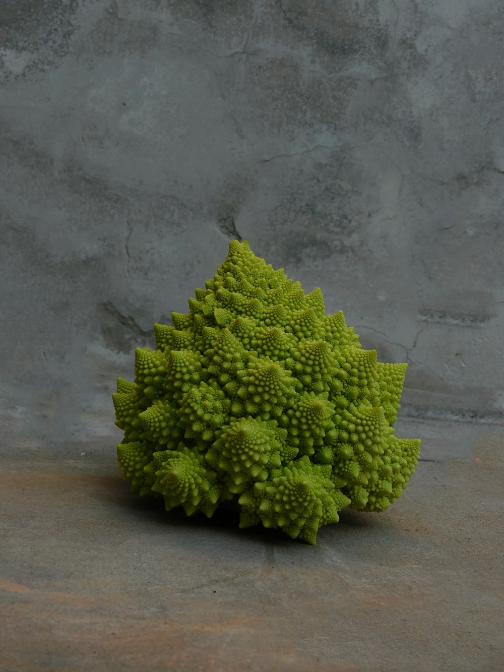 a green plant sitting on top of a cement floor