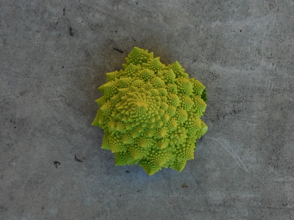 How AI-video generation demonstrates the Romanesco Effect in real-time
