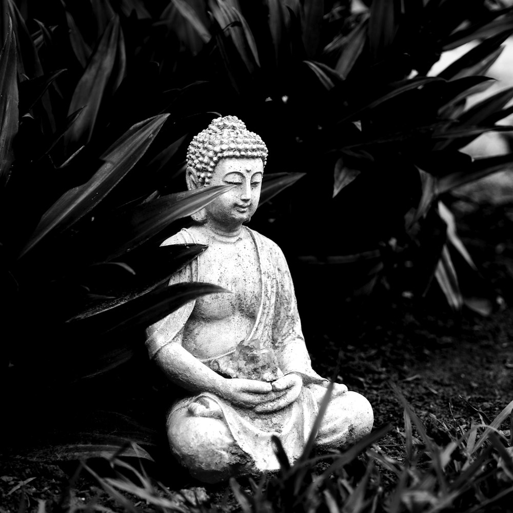 a buddha statue sitting in the middle of a garden