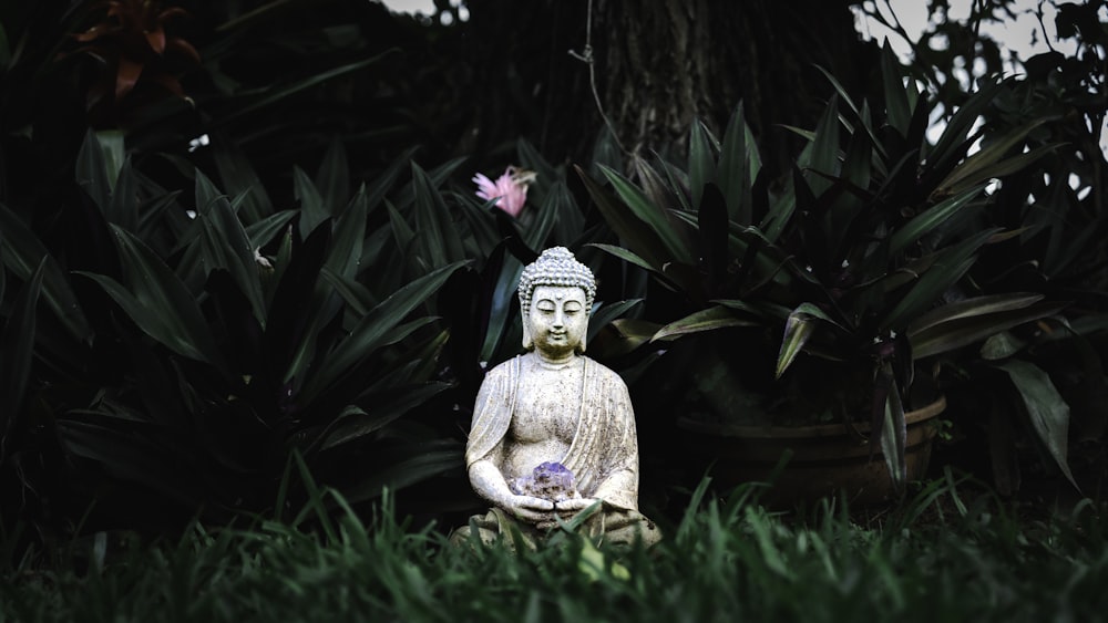 a buddha statue sitting in the grass next to a tree