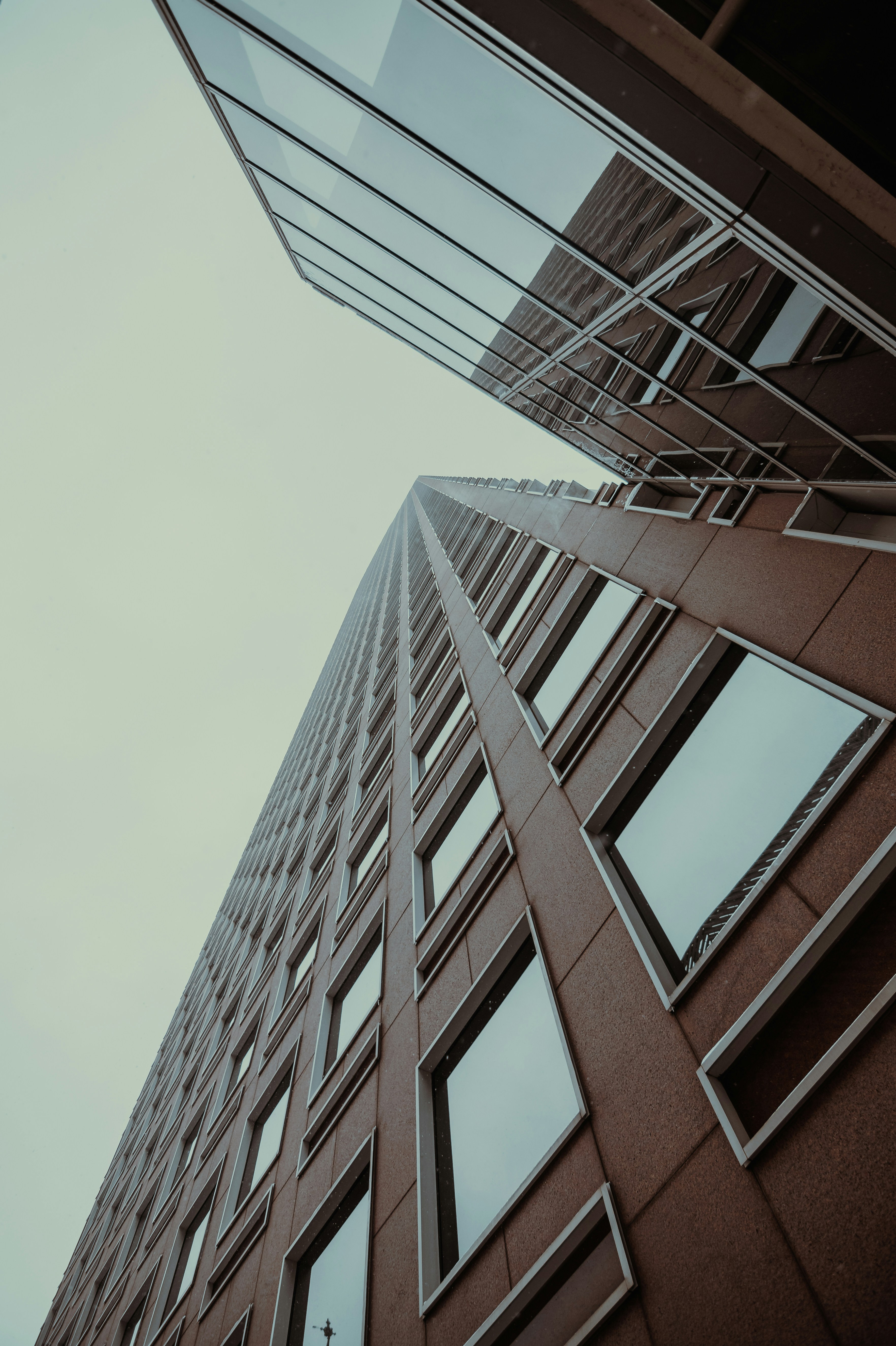 Photo by onthesearchforpineapples