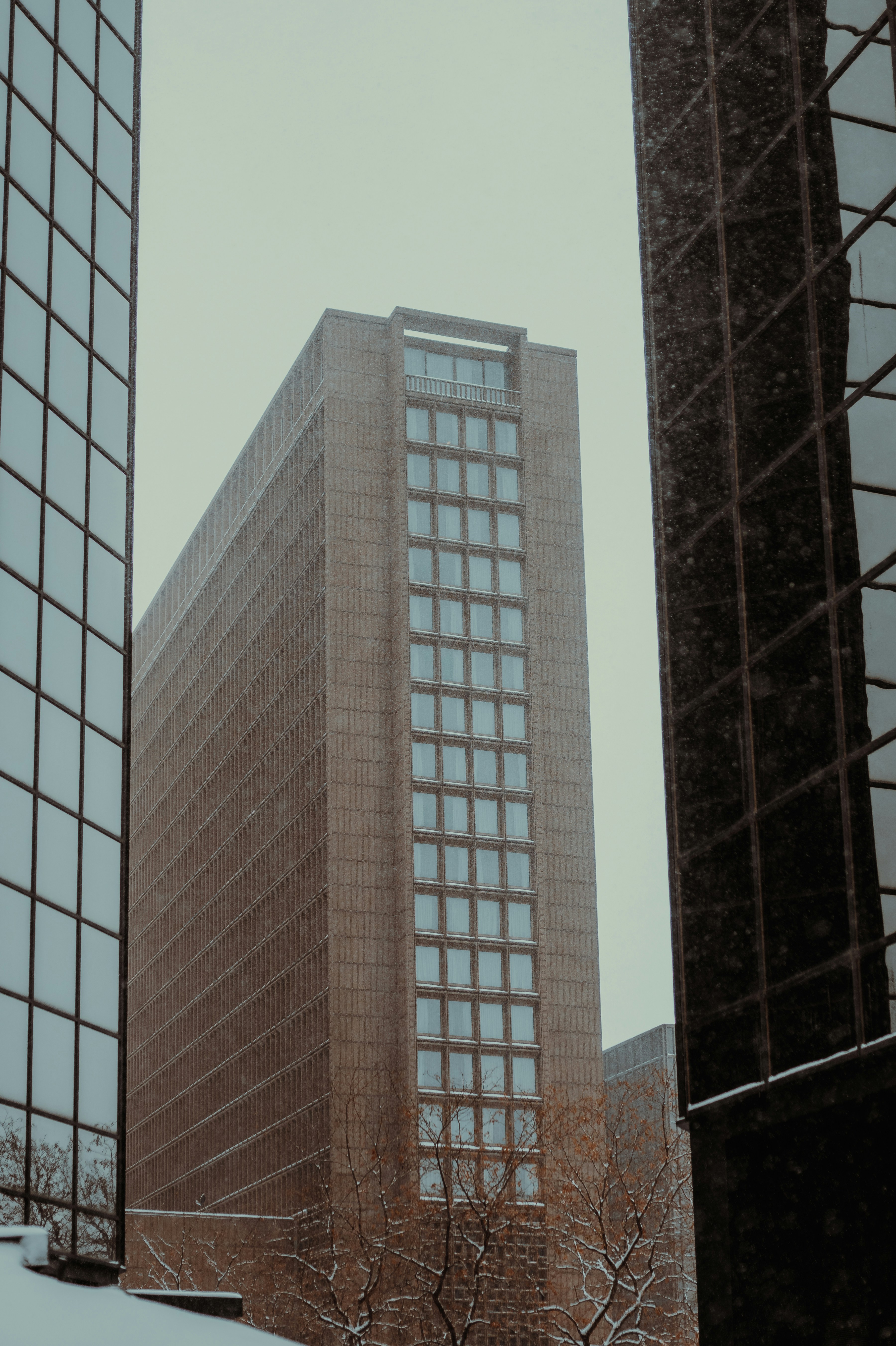 Photo by onthesearchforpineapples