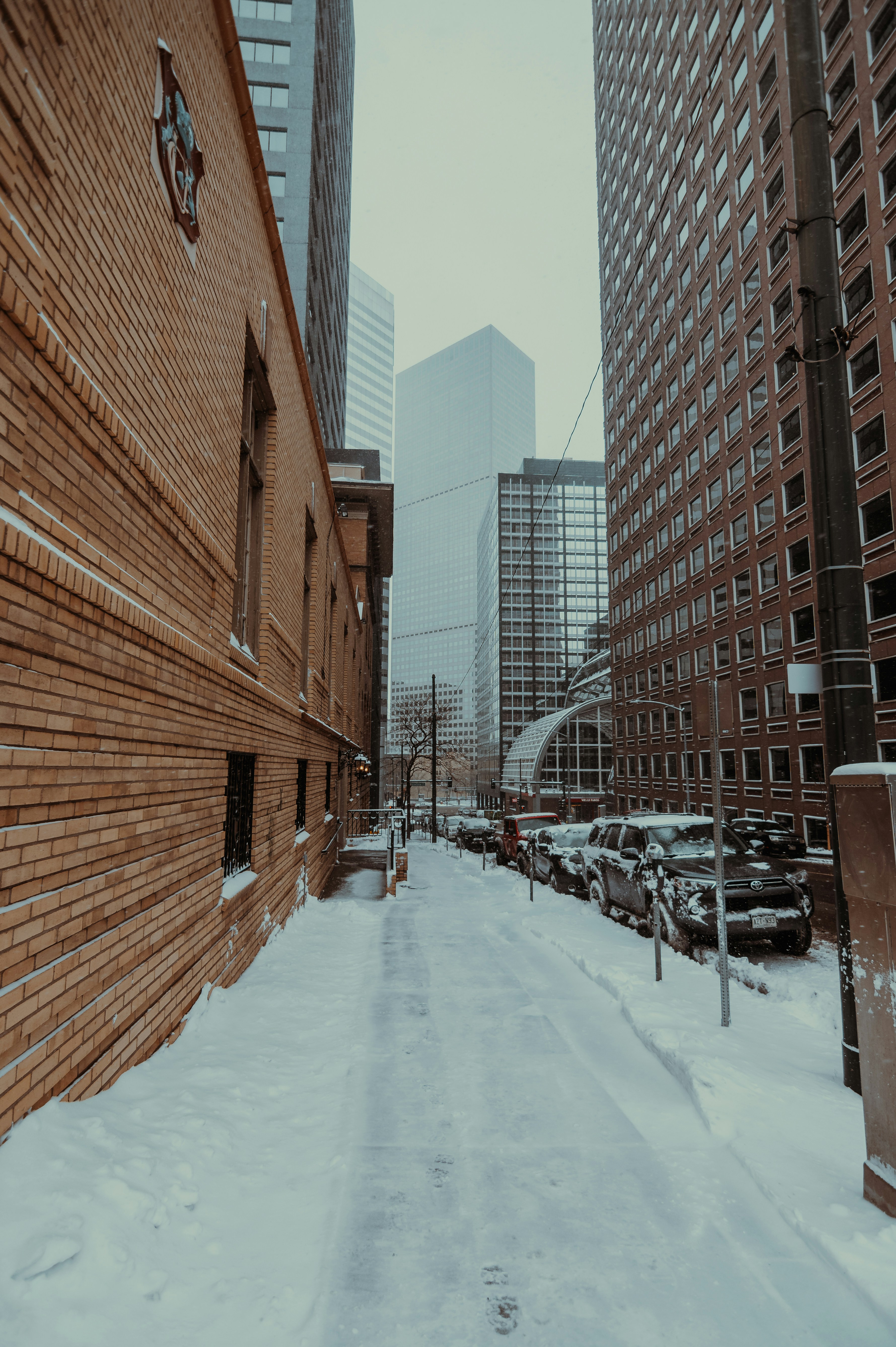 Photo by onthesearchforpineapples