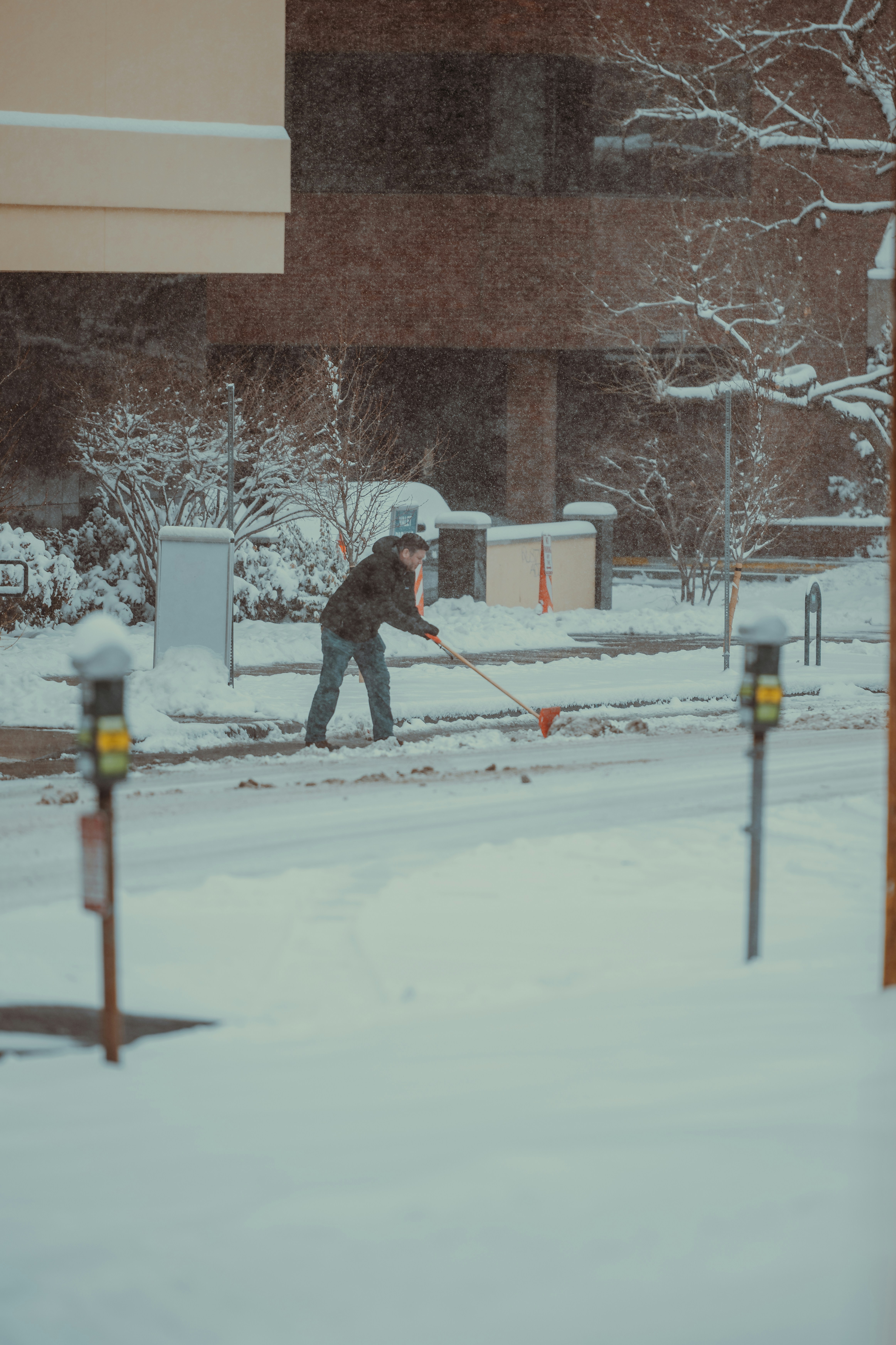 Photo by onthesearchforpineapples