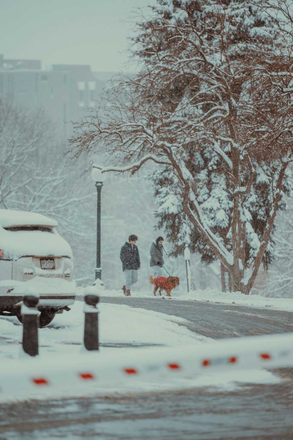 Zwei Menschen, die mit ihren Hunden im Schnee spazieren gehen