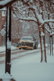 A snowplow truck clearing a snowy road lined with bare trees. Snow is accumulated on the branches and the street, creating a wintry urban scene.