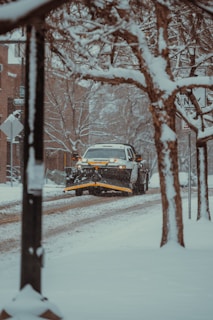 A snowplow truck clearing a snowy road lined with bare trees. Snow is accumulated on the branches and the street, creating a wintry urban scene.